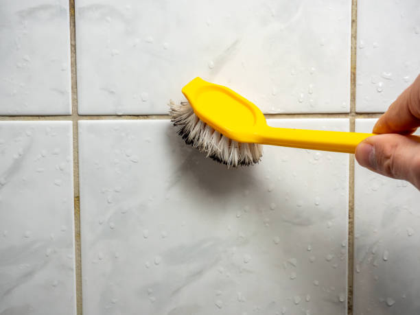 Best Mold Remediation  in Independence, OR